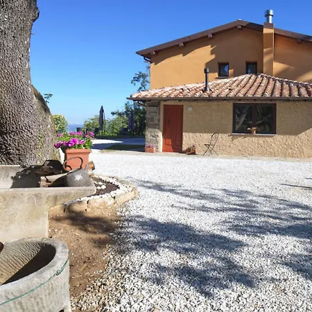 Zè Del Pino Lama (Lucca)