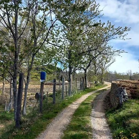 Ze Del Pino Farm stay
