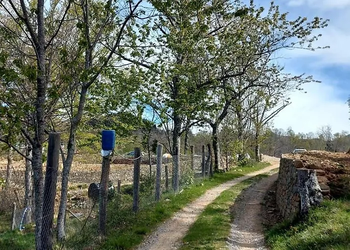 Ze Del Pino Lantgård